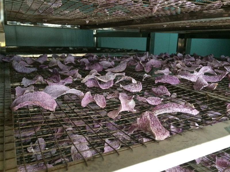 Drying Purple Chinese yams