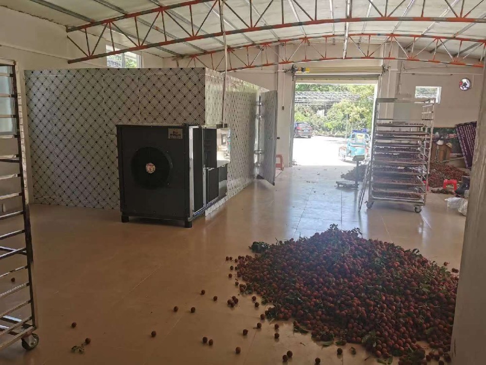Drytech dryer use for Drying lychee