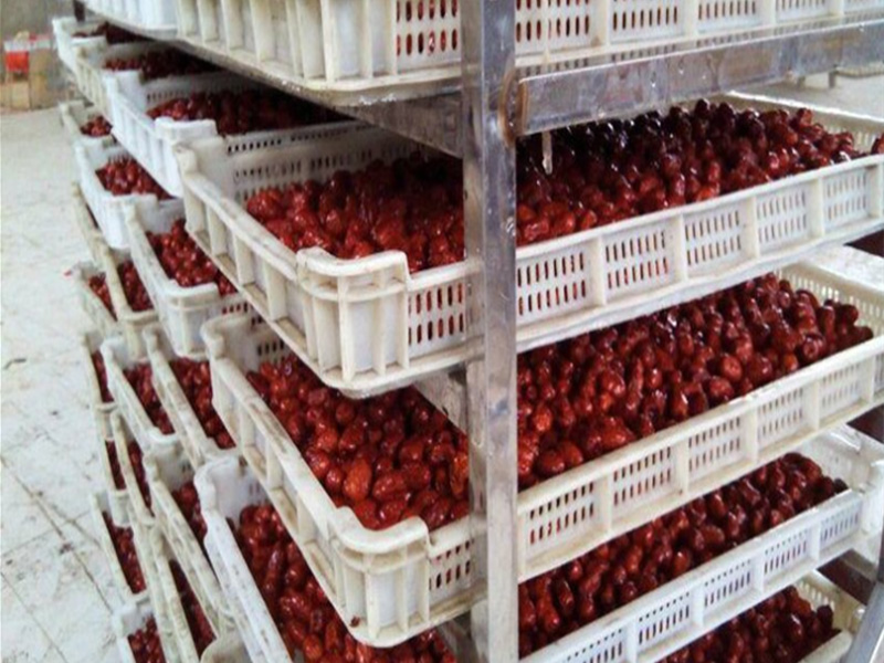 Drying Red dates