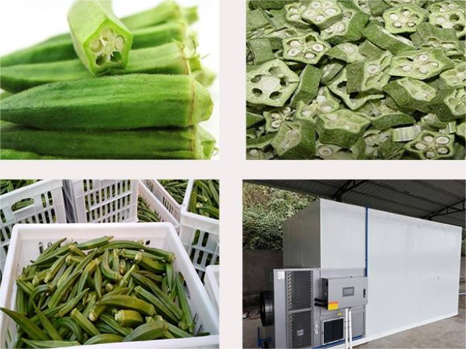 How to dry okra with heat pump dryer