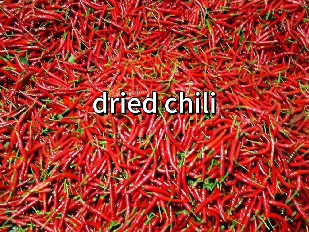 chili drying machine
